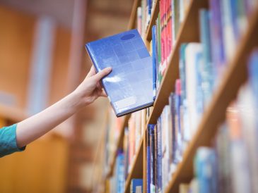 Scuole paritarie a Dolo